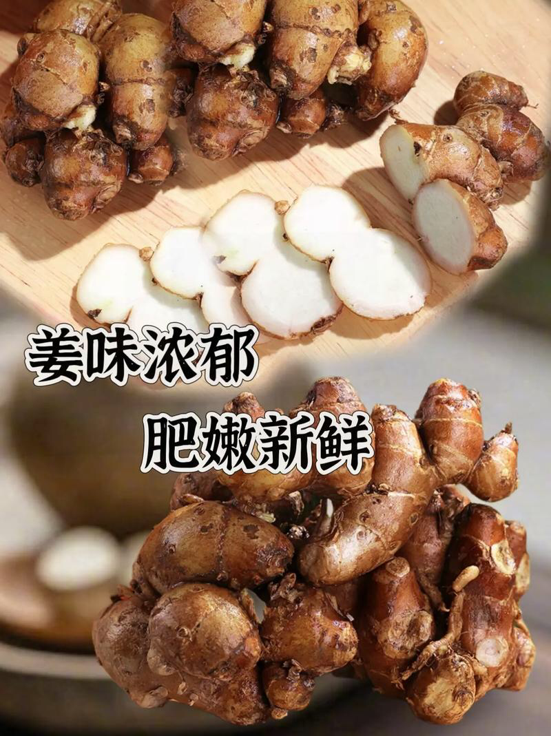 鲜沙姜精选装